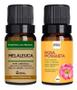 Imagem de Kit Óleo Essen. Melaleuca + Óleo Vegetal Rosa Mosqueta 10Ml