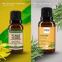 Imagem de Kit Óleo Essen. Ylang Ylang 20Ml + Vegetal De Alecrim 30Ml