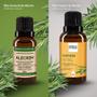 Imagem de Kit Óleo Essencial Alecrim 20ml + Óleo Vegetal Alecrim 30ml