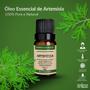 Imagem de Kit Óleo Essencial Artemísia + Óleo Vegetal R. Mosqueta 10ml