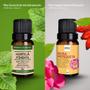 Imagem de Kit Óleo Essencial Hortelã + Óleo Vegetal Rosa Mosqueta 10Ml