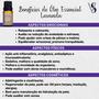 Imagem de Kit Óleo Essencial Lavanda 100% Puro Natural Vegano Aromaterapia 2 unidades