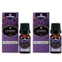 Imagem de Kit Oleo essencial lavanda para aromaterapia 2un 10ml Chamel