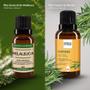 Imagem de Kit Óleo Essencial Melaleuca 20ml + Vegetal de Alecrim 30ml