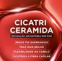 Imagem de Kit  Óleo Extraordinário 100ml + Elseve Leave-In Cicatri Renov 50ml