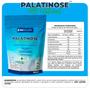 Imagem de Kit Palatinose All Natural 1Kg Tangerina + Coqueteleira Slim 600ml NEWNUTRITION