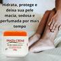 Imagem de Kit Panta Creme Hidratante Pele Macia e Bem Hidratada - 12 Unidades