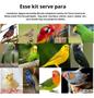 Imagem de Kit Para Alimentar Filhotes De Pássaros Seringa Alimentação