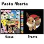 Imagem de Kit Pasta Fichário Pokémon Eevee Evoluções e Box Radiante GO com 10 Folhas 9 Bolsos Coleção Card TCG