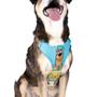 Imagem de Kit Peitoral Air Scooby Doo 2023 Ajustável para Cães M 1,2m FreeFaro 