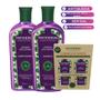 Imagem de kit Phytoervas Antiqueda  Shampoo 250ml + Condicionador 250ml Bétula Natural
