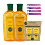 Imagem de Kit Phytoervas Shampoo 250ml Condicionador 250ml Camomila E Sun In 120ml