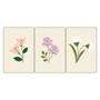 Imagem de Kit Placas Quadros Decorativos 3 pçs 20x30 Flores