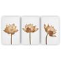 Imagem de Kit Placas Quadros Decorativos 3 Pçs 60X40 Floral Rustica