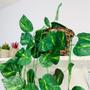 Imagem de Kit Planta Trepadeira Artificial Jibóia Com Vaso Trançado