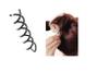 Imagem de Kit Prendedor De Coque Em Espiral Hair Pin Preto 5Un