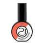 Imagem de Kit Preparadores Nails 21 Sanitizer + Primer + Primer Ácido