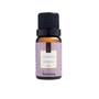 Imagem de Kit Presente Aromatizador Elétrico Porcelana mais 2 Essências Via Aroma - Bamboo e Lavanda