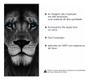 Imagem de Kit Quadro Mosaico Decorativo Leão Tigre Águia Onça Lobo