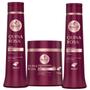 Imagem de Kit Quina Rosa Haskell Shampoo Condicionador e Máscara 500g