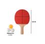 Imagem de Kit Raquete Ping Pong Tênis De Mesa Com 3 Bolinhas Original