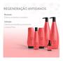 Imagem de Kit Restaurador Aneethun Restore System 3 Produtos