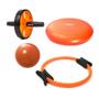 Imagem de Kit Roda de Exercicios + Arco Flexivel + Disco Equilibrio + Overball