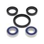 Imagem de Kit Rolamentos Roda Dianteira All Balls Rmx250 - 25-1052