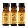 Imagem de Kit Rugol Wind Mystery Óleo Almiscar Selvagem 5Ml C/3