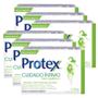 Imagem de Kit Sabonete Íntimo Barra Protex Fresh Equilibrium 85g com 6 unidades