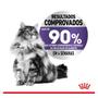 Imagem de KIT Sachê Royal Canin Appetite Control Alimento Úmido para Gato 85g - 3 unidades