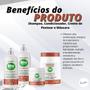 Imagem de Kit Sh + Cond + Máscara + Creme para Pentear Biovegetais