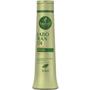Imagem de Kit Shampoo Condicionador 500Ml Haskell Jaborandi