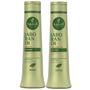 Imagem de Kit Shampoo Condicionador 500Ml Haskell Jaborandi
