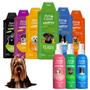 Imagem de Kit Shampoo Condicionador 700ml Perfume 120ml Banho Cão Gato