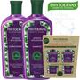 Imagem de Kit shampoo condicionador phytoervas 250ml Antiqueda Bétula Natural