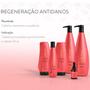 Imagem de Kit Shampoo Finalizador Aneethun Restore System Restaurador