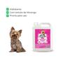Imagem de Kit Shampoo Morango 5 Lt + Coco 5 Lt - Collie