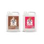 Imagem de Kit Shampoo Morango 5 Lt + Coco 5 Lt - Collie