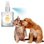 Imagem de Kit Shampoo Para Pets 300ml e Perfume 60ml Para Cães e Gatos LubPet