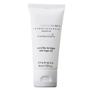 Imagem de Kit Shampoo Realgems Linha Florence Blanc Argan Em Bisnaga De 40ml Para Hotel e Pousada