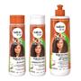 Imagem de Kit SOS Cachos Salon Line Coco Tratamento Profundo