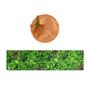 Imagem de Kit Sousplat Completo com Trilhos Guardanapos Pg Folhagem Jardim Vertical