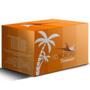 Imagem de Kit Summer 6 Pigmentos 5Ml Rb Kollors