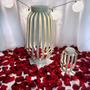 Imagem de KIT Surpresa romântica 11 balões 300 pétalas 20 velas Venda