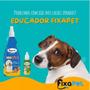 Imagem de Kit Tapete lavável 1 un M1 70x100 cm + Spray Educador Pet