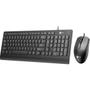 Imagem de Kit Teclado e Mouse Lecoo CM103 USB Preto F002