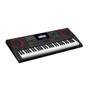 Imagem de Kit Teclado Musical CT X5000 Preto CASIO 61 Teclas MIDI/USB + Suporte X + Capa + Fonte