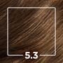 Imagem de Kit Tintura Imédia Excellence L'Oréal Castanho Claro Dourado 5.3