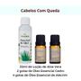 Imagem de Kit Tratamento Cabelos Com Queda Loção de Aloe Vera, Alecrim e Cedro